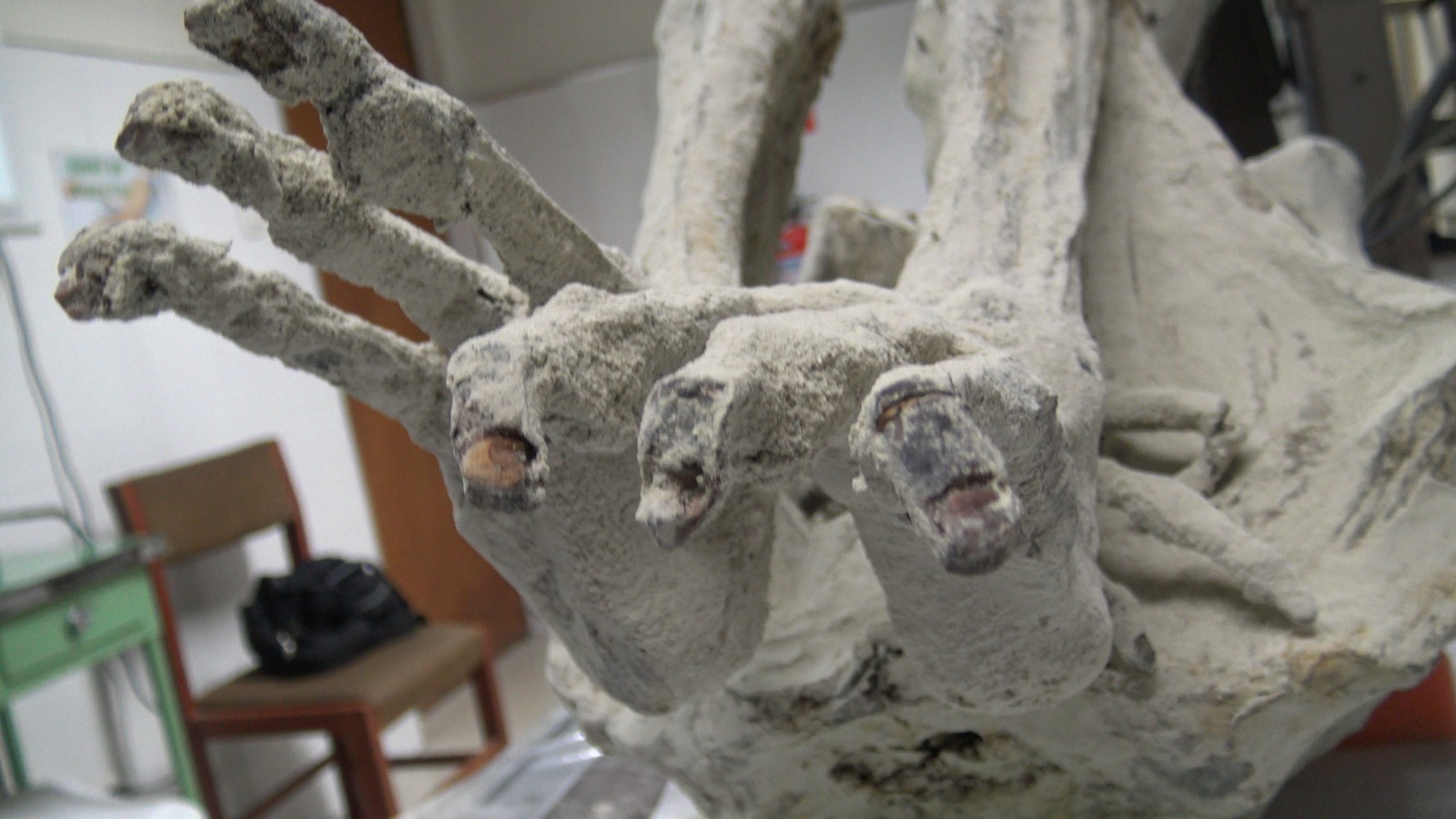 Montserrat Feet Feet5