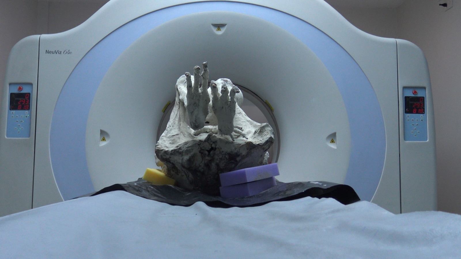 Montserrat Feet Medical